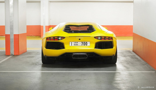 biohazxrd:  Aventador by Jacco Wilbrink on Flickr.