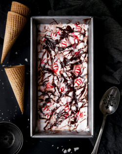delicious-food-porn:Vegan Peppermint Fudge Ripple Ice Creamdrool
