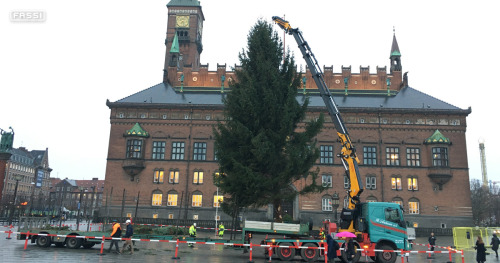 A Fassi F1150RA and the Christmas tree