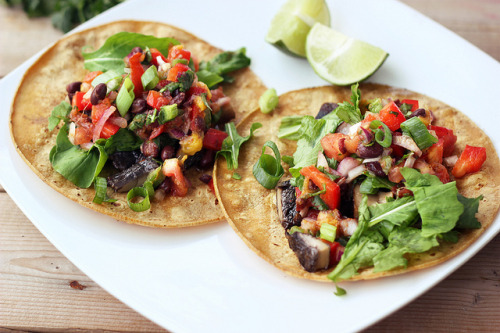 alloftheveganfood:  Vegan Salsa Entree Round adult photos