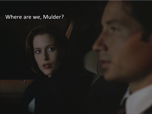 im mulder