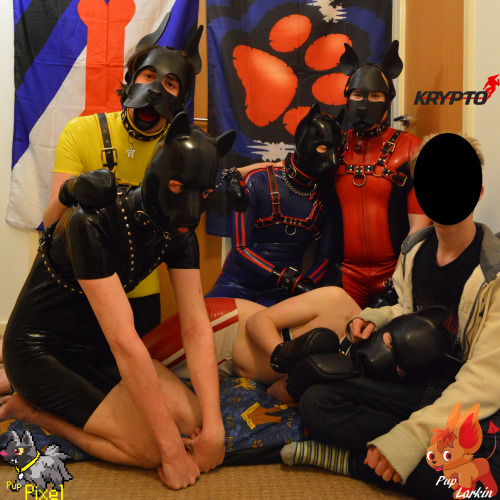 puplarkin:  Group photos from the puppy weekend ^_^ We puppies just cant keep still, and just love to pile up on each other/Mr Coffeeshop :PFrom left to right - Tickle, puppixel, Krypto, Novy, Me, Mr Coffeeshop