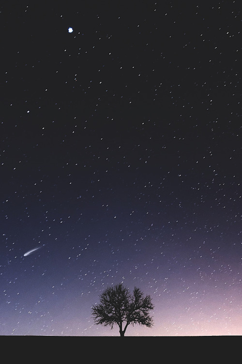 wavemotions:  Visit from far away