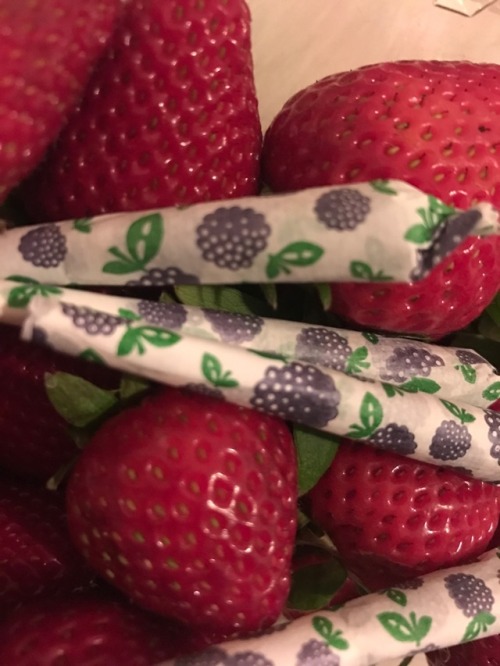 pearlscoutcookies:  Very berry 🍓