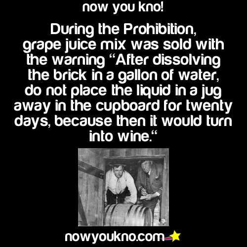 nowyoukno:  See More Daily Facts Here!