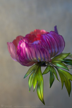 asylum-art:  Sakae: creates Exquisite Japanese Floral  Hairpins  on Facebook, Flickr These transparent ornament hairpins, which Sakae makes, have a beauty that catches your breath. Sakae started to make Kanzashi (Japanese Hair Pins) about 7 years ago. 