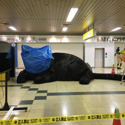 vomiiit:  (via Kaname NotoさんはTwitterを使っています: “札幌何かが横たわる https://t.co/x1MfYklwqK”)  