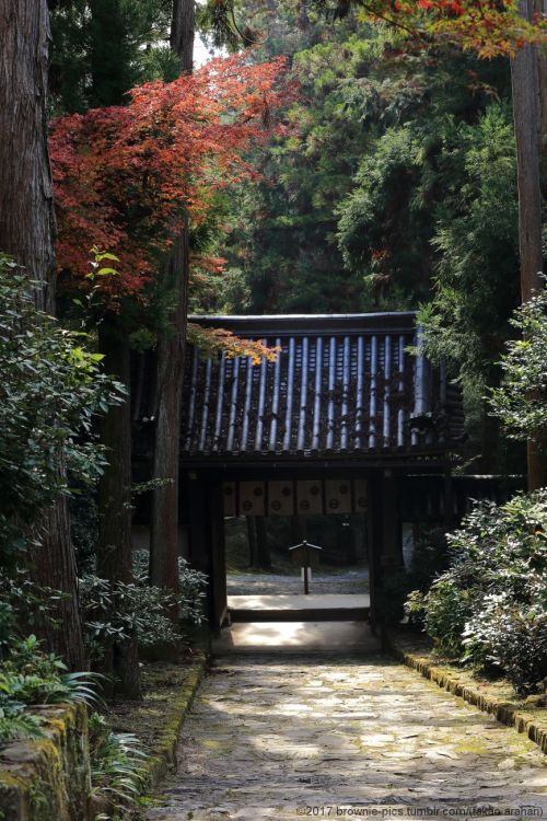 ‘21.11.19 松尾寺にてここんとこ玉石混合な出来事が続いて、ちょっと気持ちも不安定なので日本最古の厄除け寺へお参り。いい天気で紅葉も見頃。30分程度の滞在でしたが、心が少し穏やかになったような気