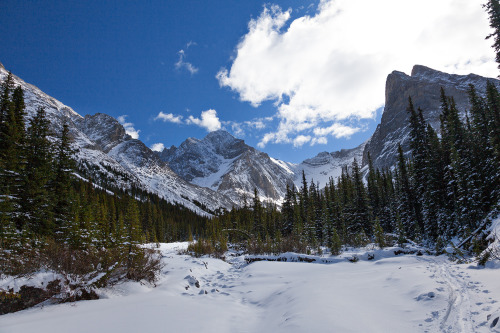 Fall ski trip to Mt. Rae