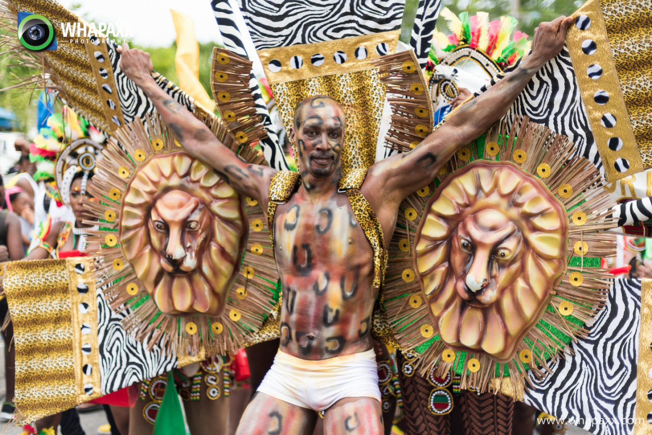 stonedwithcupid:  Kadooment 2015 &amp; Foreday Morning 2015 in BarbadosPosting
