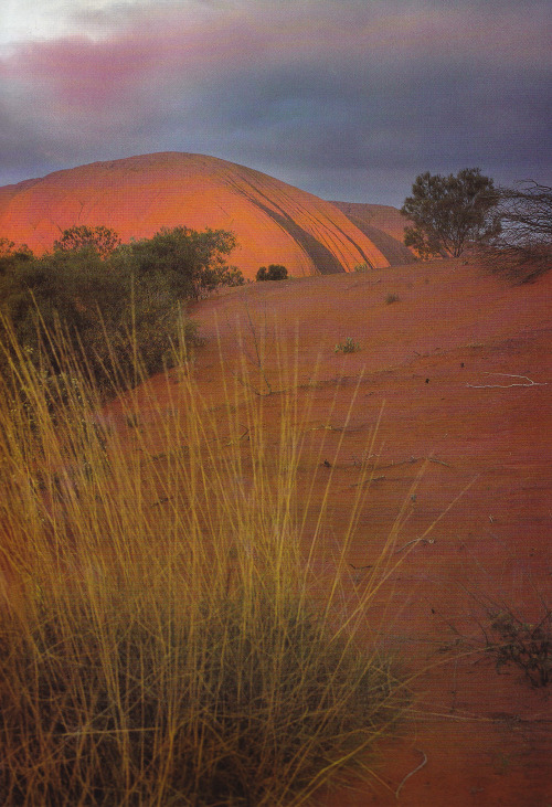 Ayers Rock glowing from darkening storm clouds and surrounding dunes, Discover Australia’s Nat