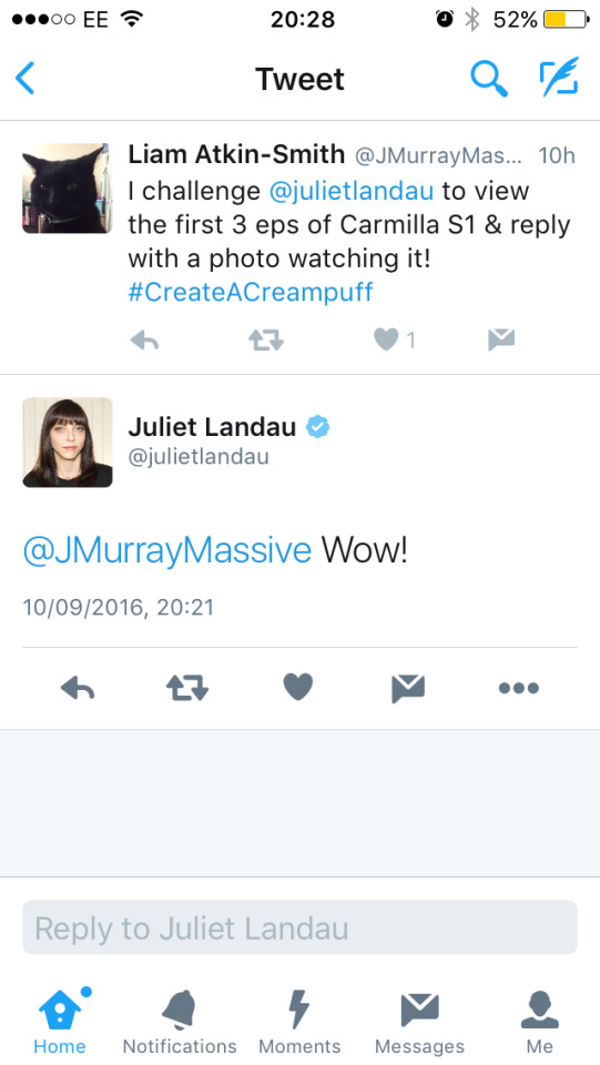 Tumblr media