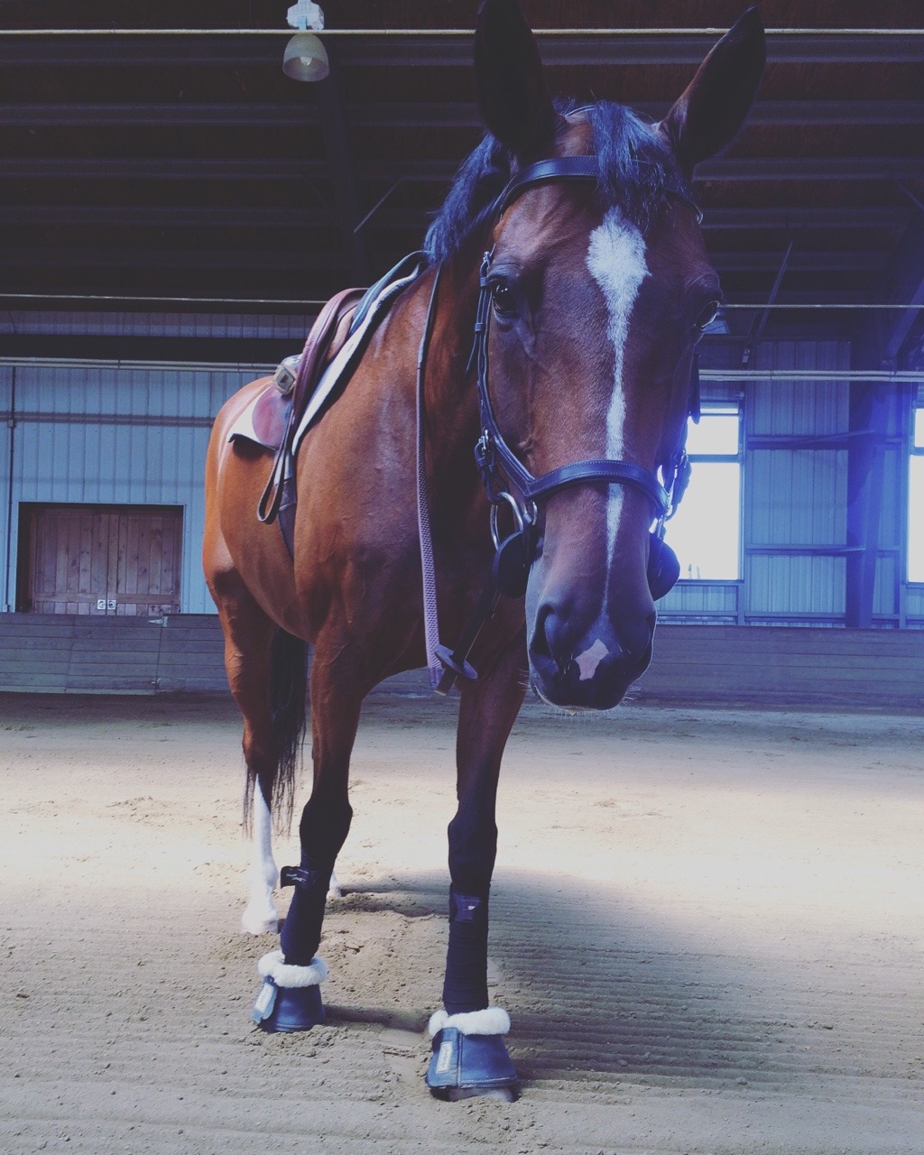 fastestfourfaulter:  He’s seriously the cutest 