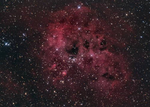 spaceexp:  Gorgeous IC410 via rbrecher adult photos