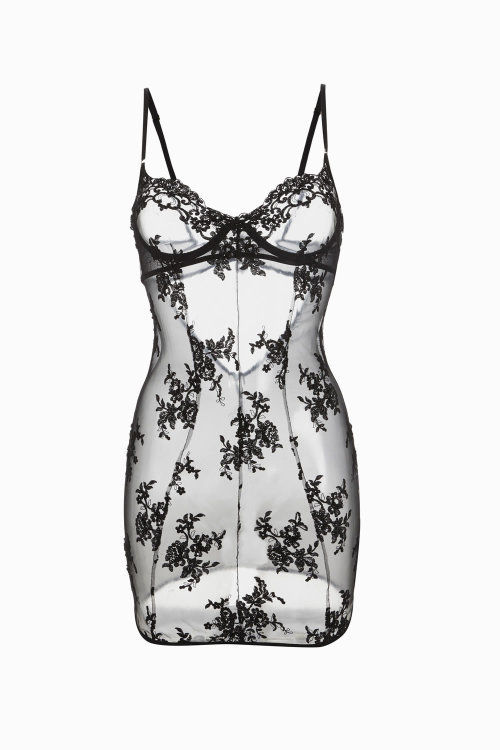 XXX decadentandwilde:  Satine Beaded Lace Slip photo