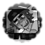 tccyaoi
