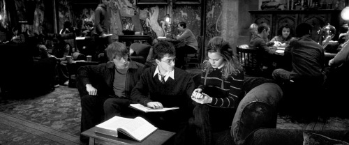 lilypottar:  “He knew that Ron and Hermione were more shocked than they were letting on, but the mere fact that they were still there on either side of him, speaking bracing words of comfort, not shrinking from him as though he were contaminated