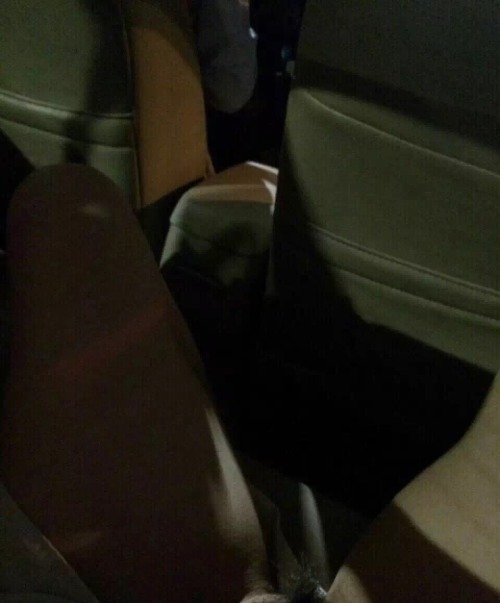 snanjings:queenwen:叫车坚决和你拼车 不如做司机