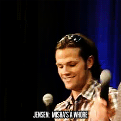 jensenacklesmishacollins:  Jared, I need to sit down with you and talk! 