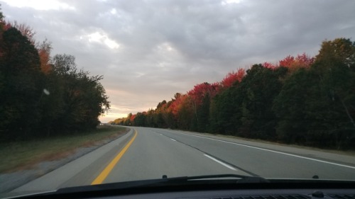 Fall on M-10 near Mt. Pleasant