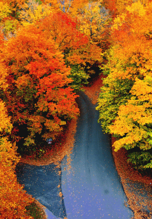 bluepueblo:  Autumn Road, Vermont photo via besttravelphotos 