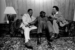 cosmosonic:  BB King, Albert King and Bobby