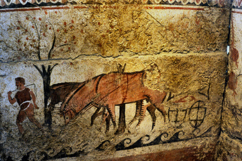 medievalistsnet:Ancient Greek Farming!historyoftheancientworld.com/2009/12/farming-in-the-anc