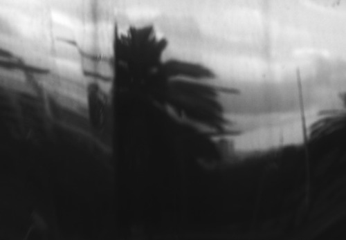 victormalonso:scenes of a dream© víctor m. alonso