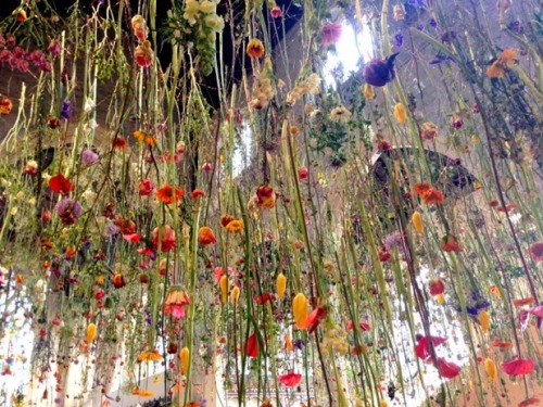 proformalove:Rebecca Louise Law… magical installation artworks