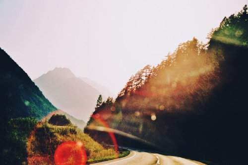 alcyere: going home (by Careless Edition)