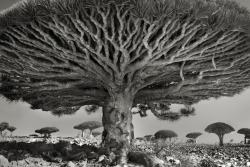 Asylum-Art-2:  Beth Moon  American  Photographer Beth Moon Has Spent The Past 14