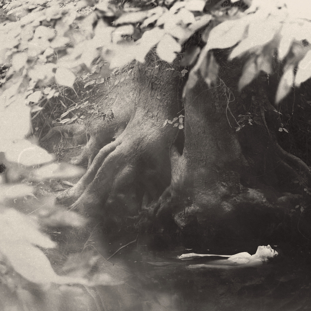 sean-clancy:  The Rusty Trees by Nicholas Scarpinato on Flickr. 
