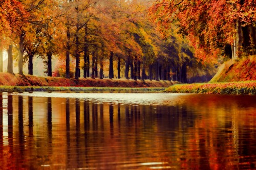 The Art of Autumn, by martinpodt Check out Photo-Worth for more photos like this!