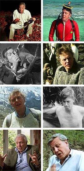 idlesuperstar:  Happy 90th Birthday David Attenborough [b: 8th May 1926] It seems