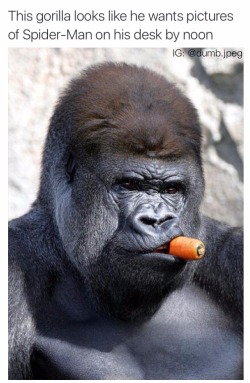 @carmessiReminds me of the badass gorilla
