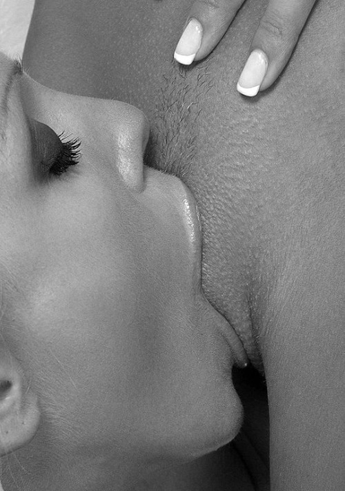 Bisexlustar