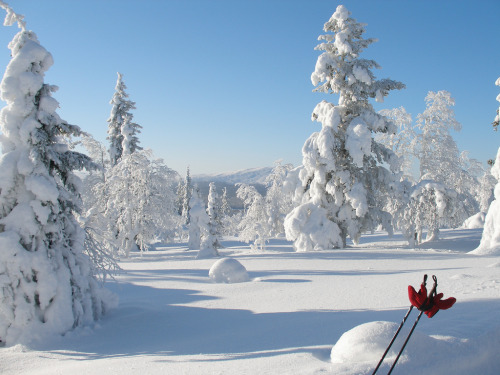 Photo by HibaHaba/Flickr Location: Haavepalo, Lapland, Finland