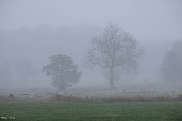 November