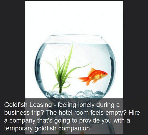 pr1nceshawn:  Services you probably didn’t know you could buy. 