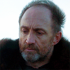 lordofdragonstone:  The North is larger than the other six kingdoms combined, and