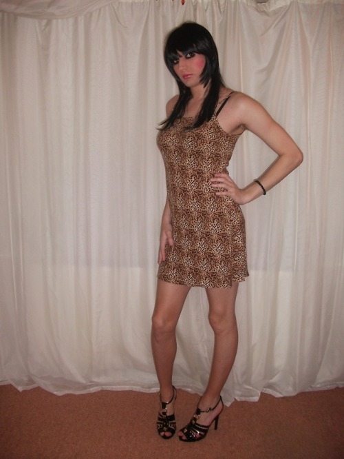 nicolebuxton:leopard print dress :) - please reblog xx