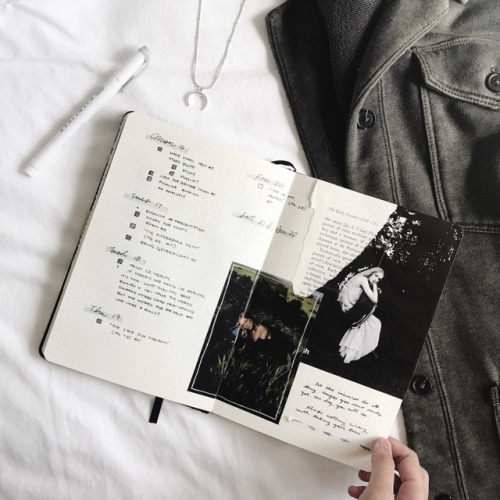 stillstudies: “Your bones aren’t made of glass. You can take life’s knocks.”