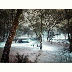 #blizzard #nyc #snow #2015 #january #storm