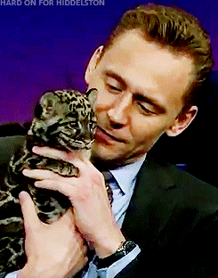 hard-on-for-hiddleston:[x]Hiddles snuggling baby cats.It is impossible for a picture to be warmer or