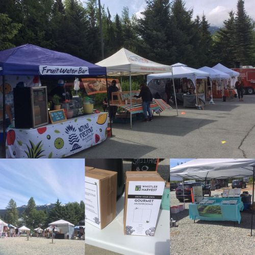 Whistler Farmers Market 11 am to 4 pm #whistler #whistlerbc #seatosky #farmersmarket #shoplocal #loc