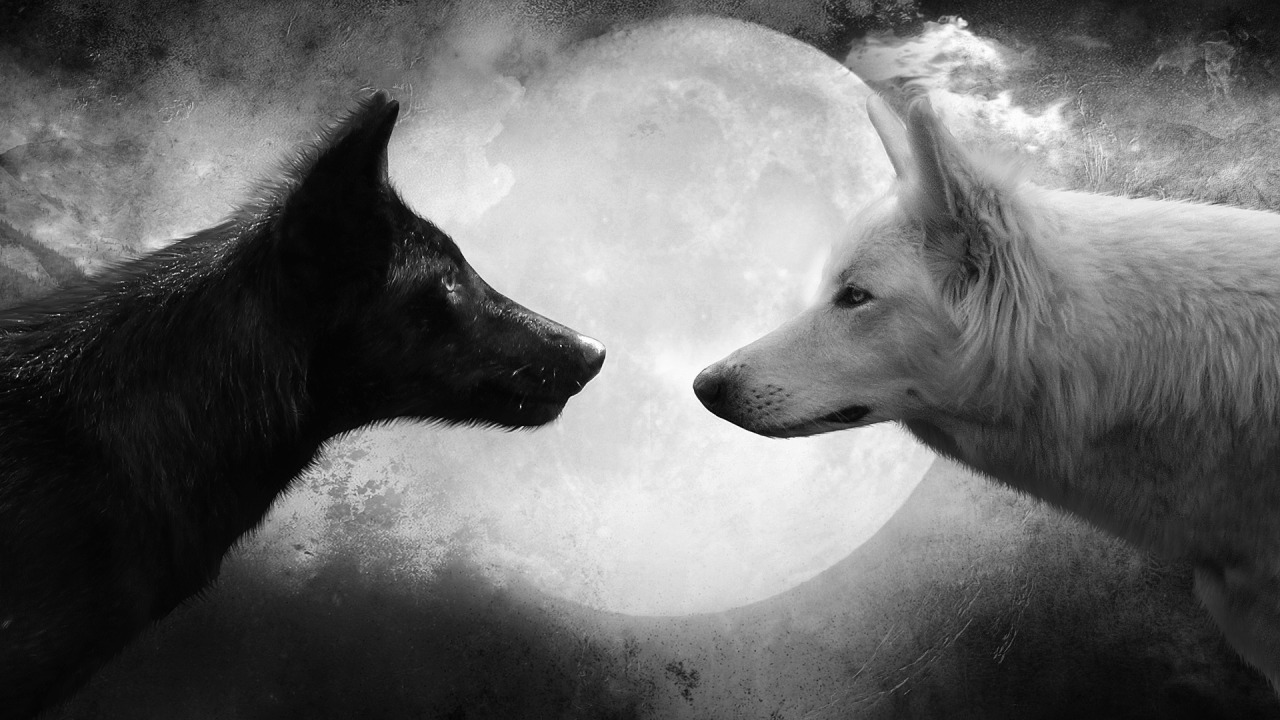 b&w love