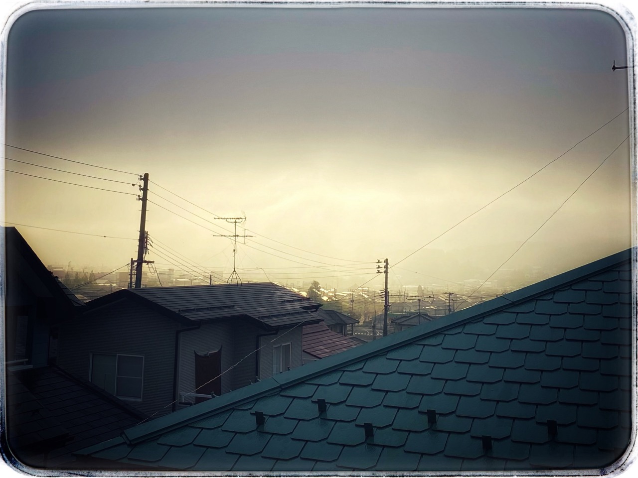 晩春と初夏の季節の変わり目で濃い霧の朝の街