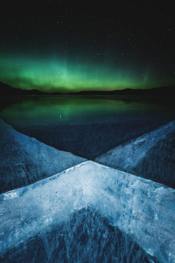 captvinvanity:  X-Rays | Editetd by CVPublished with permission from Paul Zizka