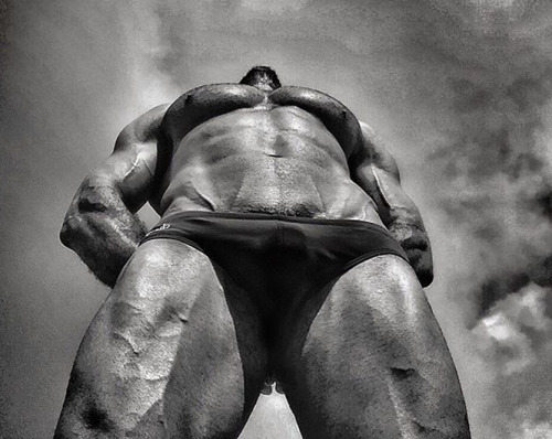 planesdrifter:  Follow planesdrifter: trueTHAT if you’re an admirer of older, hairy natural and muscular men.Check it out and the archive too or the live cams.
