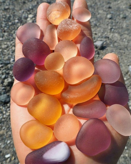 slimeandspice:this is sea glass but i’m definitely gonna eat it… Those are ocean gummies, a gift fro